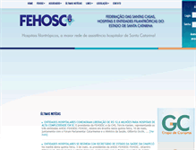 Tablet Screenshot of fehosc.com.br
